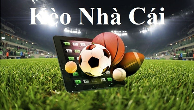 Trang Web Cược Bóng Đá Live Betting Professional